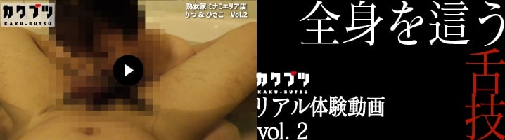 リアル体験動画 vol.2 りつひさこ