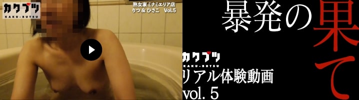 リアル体験動画 vol.5 りつひさこ