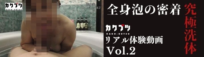 リアル体験動画 vol.2 せいら